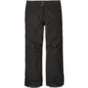 Patagonia Men's Insulated Powder Bowl Pant