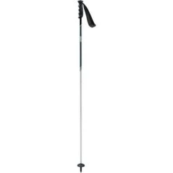 Swix Swix Excalibur Ski Pole -Outdoor Ski Shop swix excalibur ski pole light all