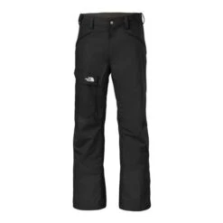 The North Face Men's Freedom Insulated Pants