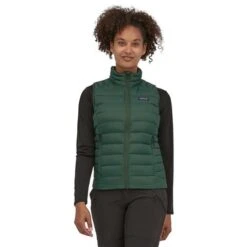 Patagonia Women's Down Sweater Vest -Outdoor Ski Shop wbf2223 84629 pign dt1